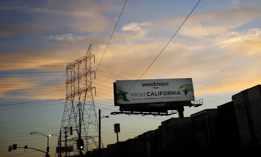 LA Times Weed Artcile