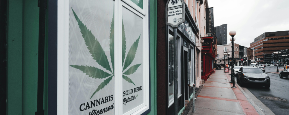 cannabis-retailer-1100-x-440-1000x400